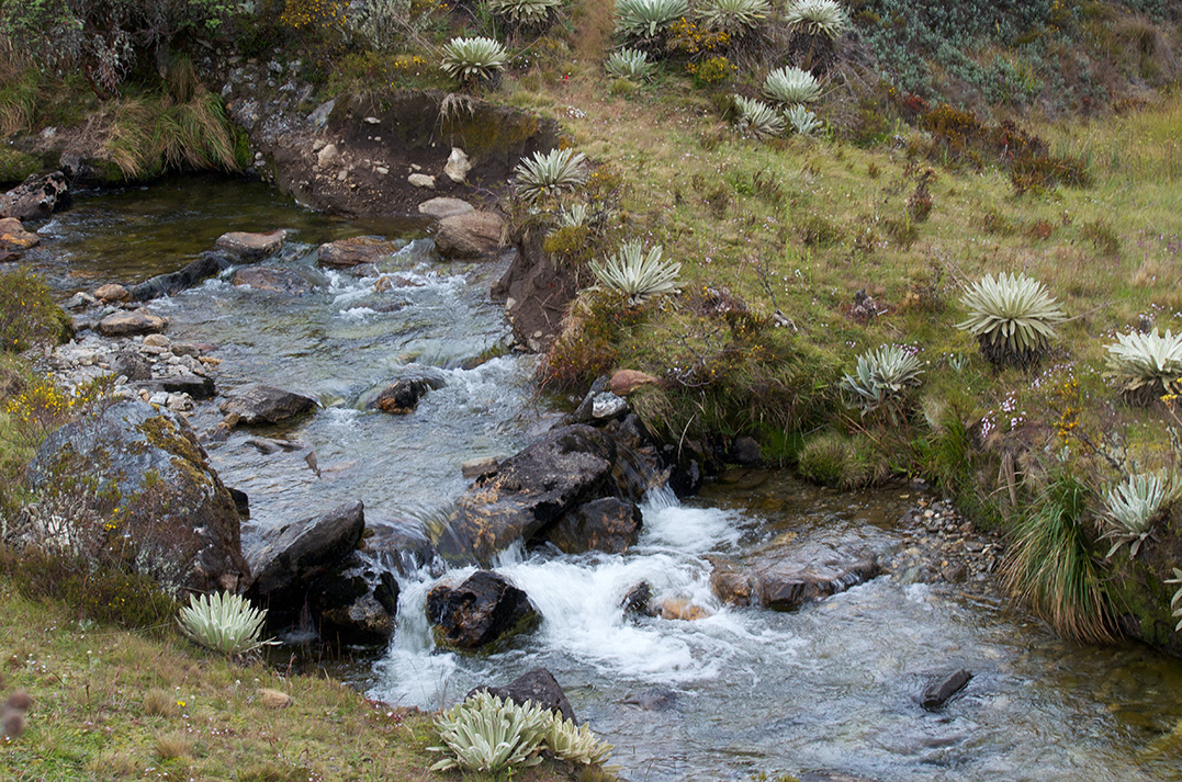 Foto de Pedro Romero en Unsplash